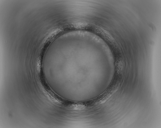 X0000111800644200908061159