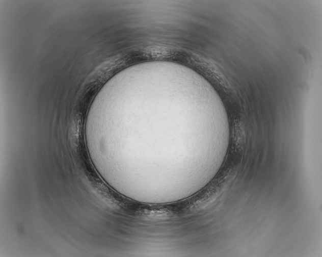 X0000111800645200908061159