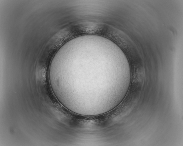 X0000111800646200908061159