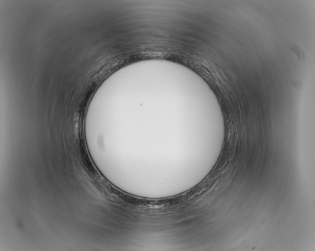 X0000111800647200908061159