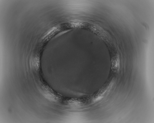 X0000111800648200908061159