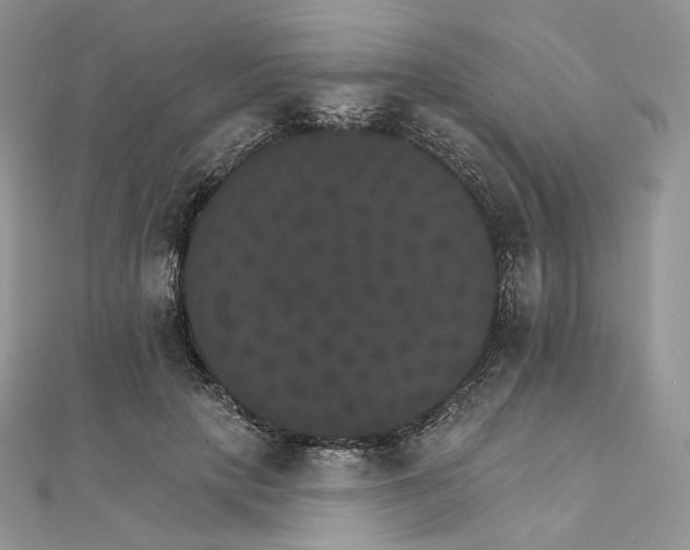 X0000111800649200908061159