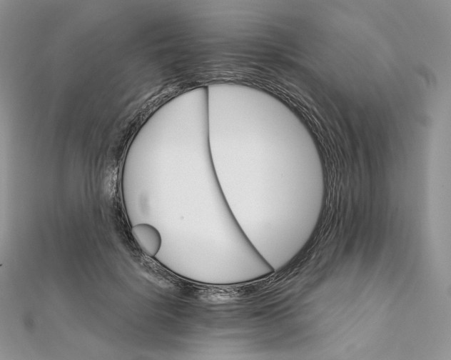 X0000111800652200908061159