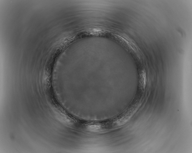 X0000111800653200908061159