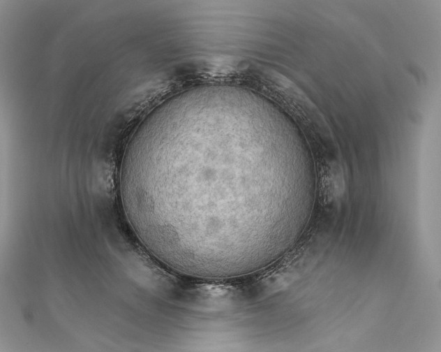 X0000111800654200908061159