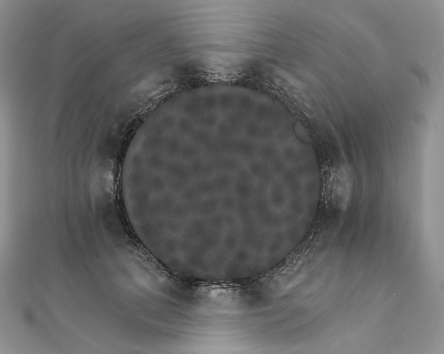 X0000111800655200908061159