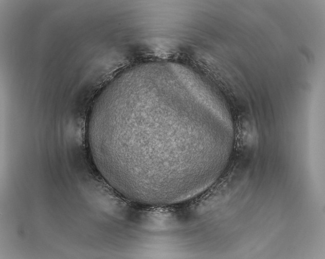 X0000111800656200908061159