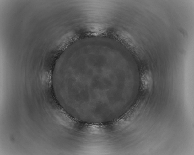 X0000111800657200908061159