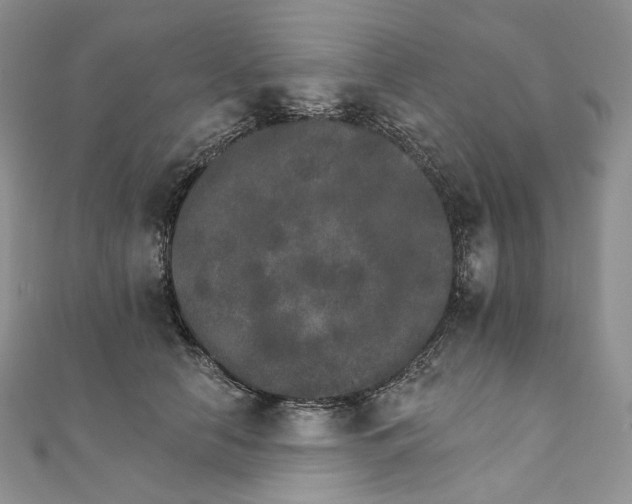 X0000111800658200908061159