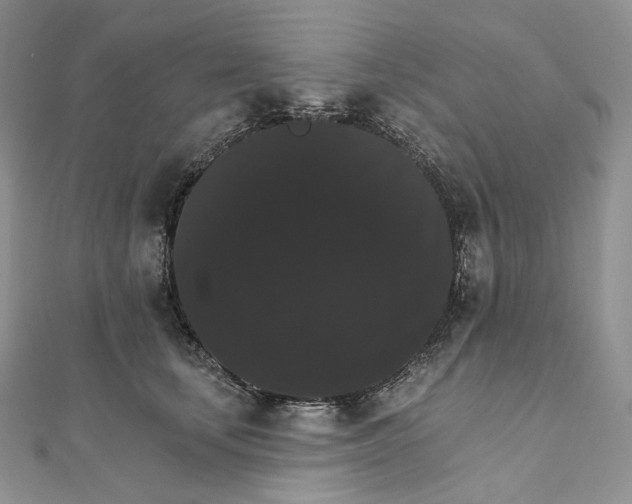 X0000111800659200908061159