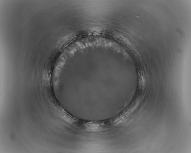 X0000111800661200908061159