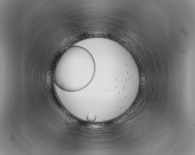 X0000111800662200908061159