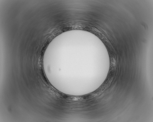 X0000111800663200908061159