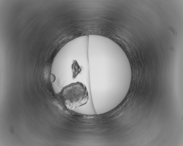 X0000111800665200908061159