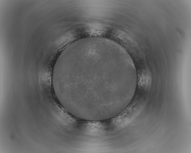 X0000111800666200908061159