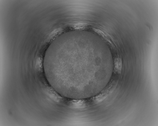 X0000111800667200908061159