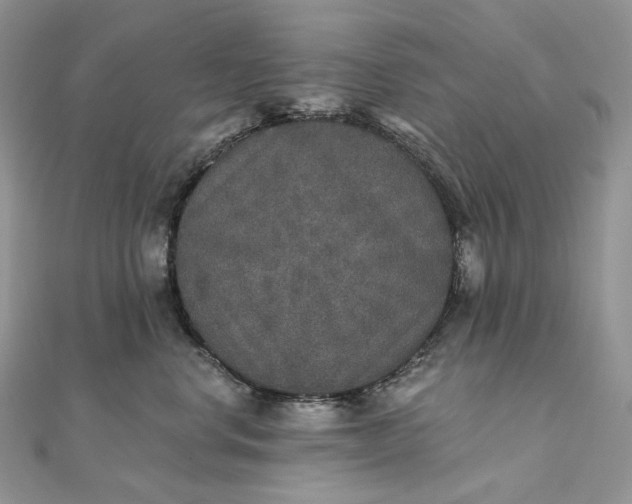 X0000111800668200908061159