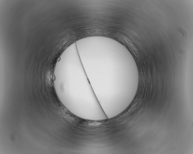 X0000111800669200908061159