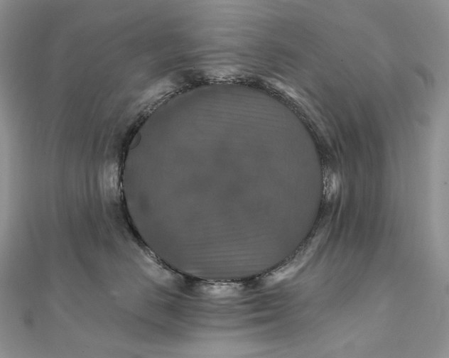 X0000111800670200908061159