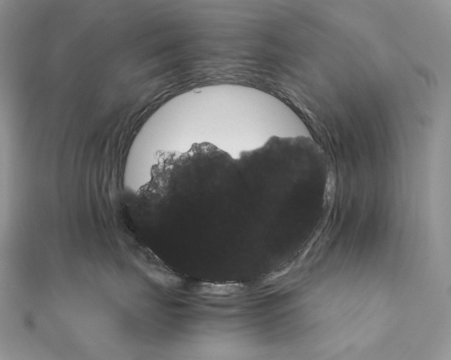 X0000111800671200908061159