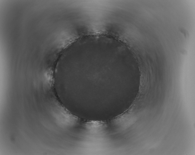 X0000111800672200908061159