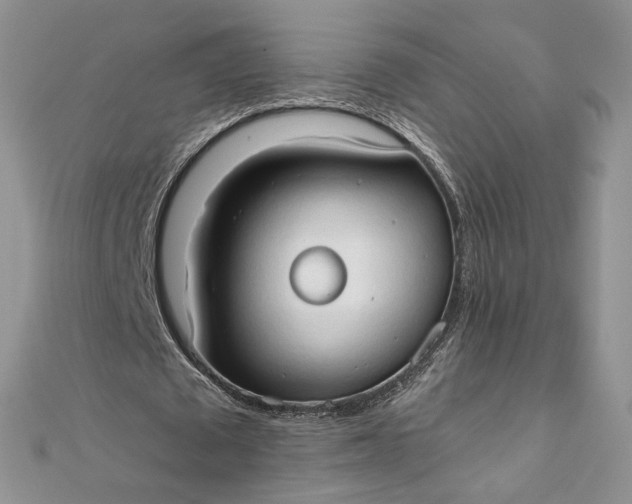 X0000111800673200908061159