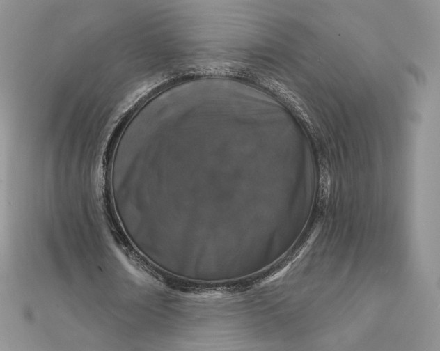 X0000111800674200908061159