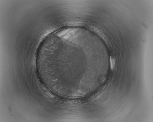 X0000111800675200908061159