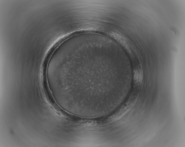 X0000111800676200908061159