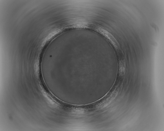 X0000111800677200908061159