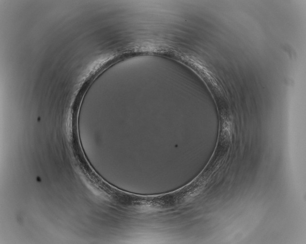 X0000111800678200908061159