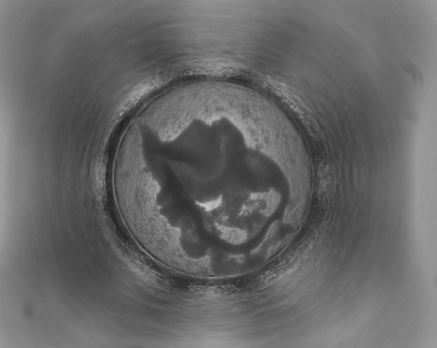 X0000111800679200908061159