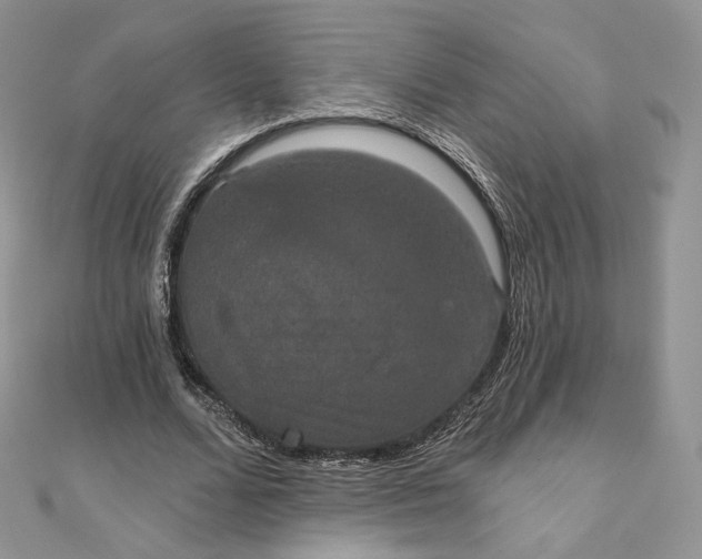 X0000111800680200908061159