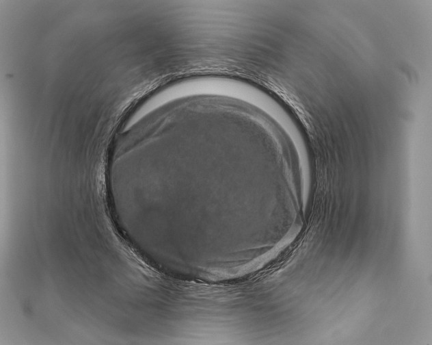 X0000111800681200908061159