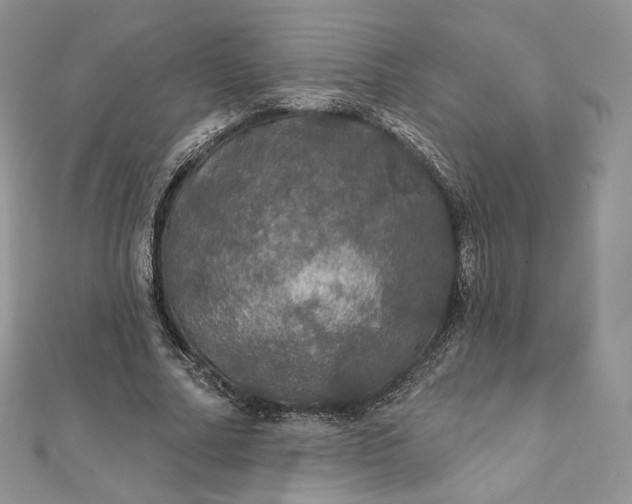 X0000111800682200908061159