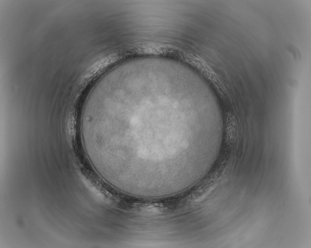 X0000111800683200908061159