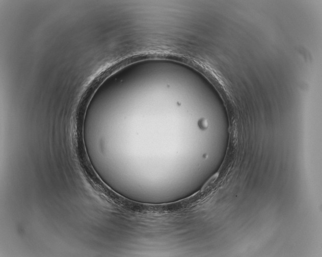 X0000111800684200908061159