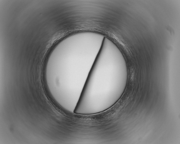 X0000111800685200908061159