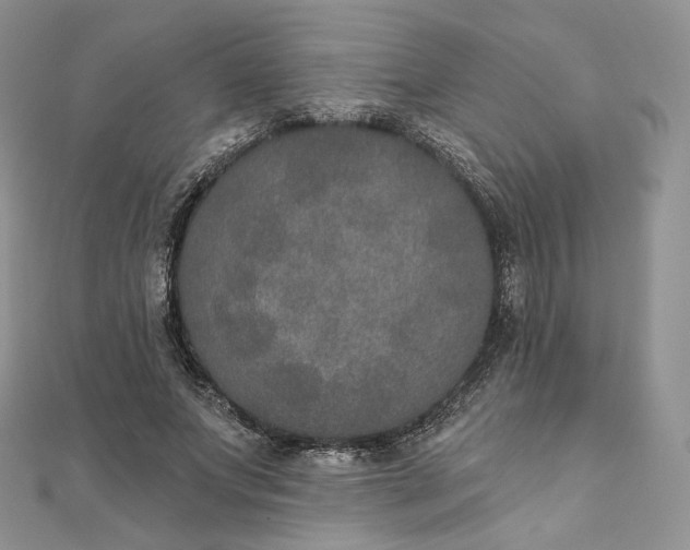 X0000111800687200908061159