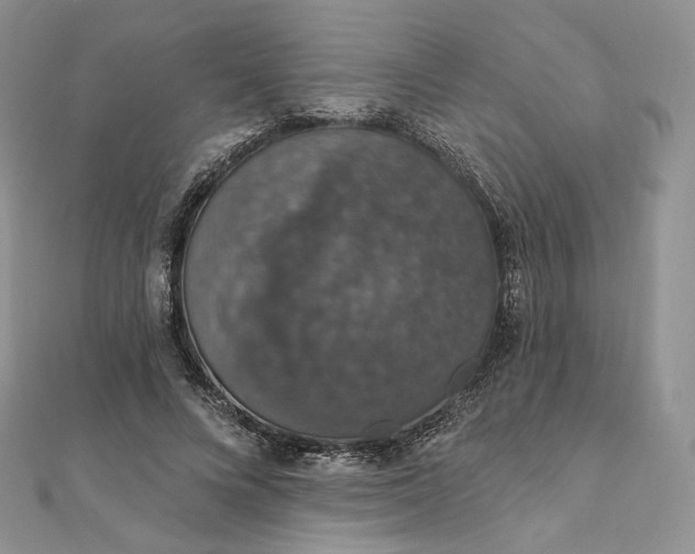 X0000111800688200908061159