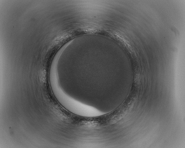 X0000111800689200908061159