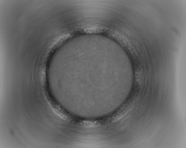 X0000111800690200908061158