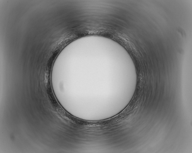 X0000111800691200908061158