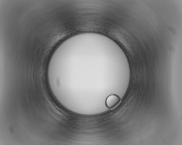 X0000111800692200908061158