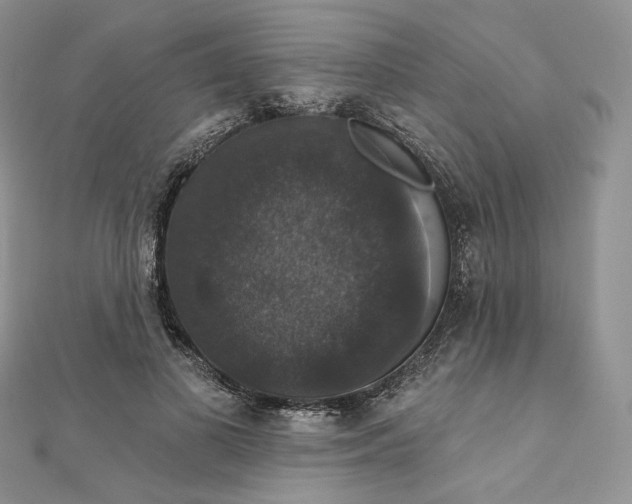 X0000111800693200908061158