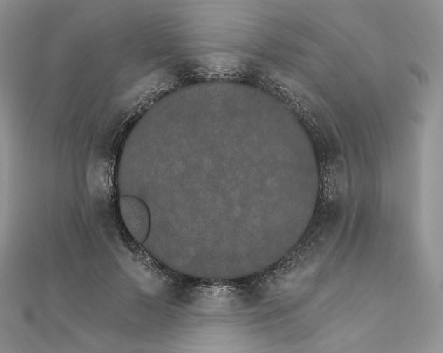 X0000111800695200908061158