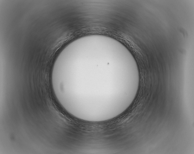 X0000111800696200908061158