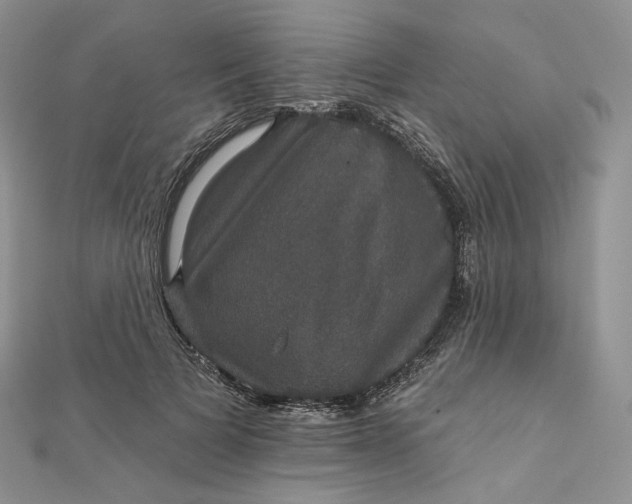 X0000111800697200908061158