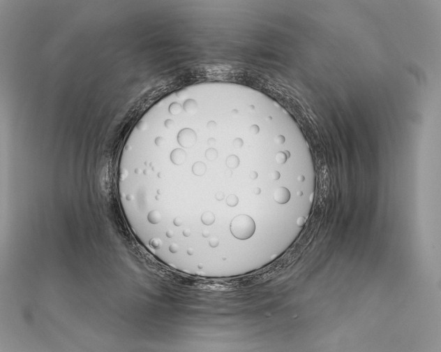 X0000111800698200908061158