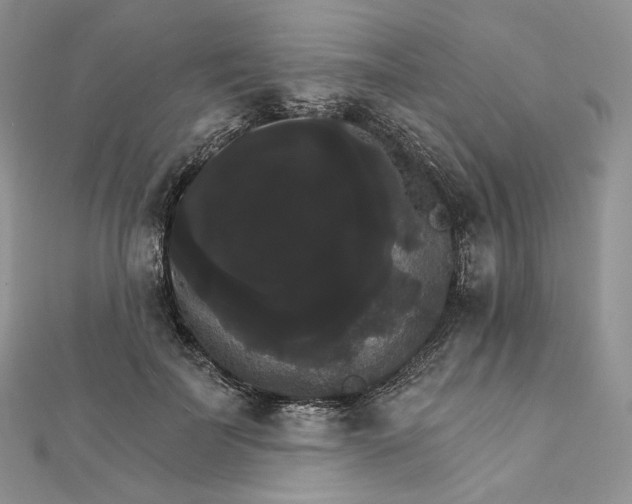 X0000111800699200908061158